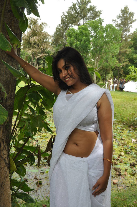 Hot Tamil Actress in White Saree Photos film pics